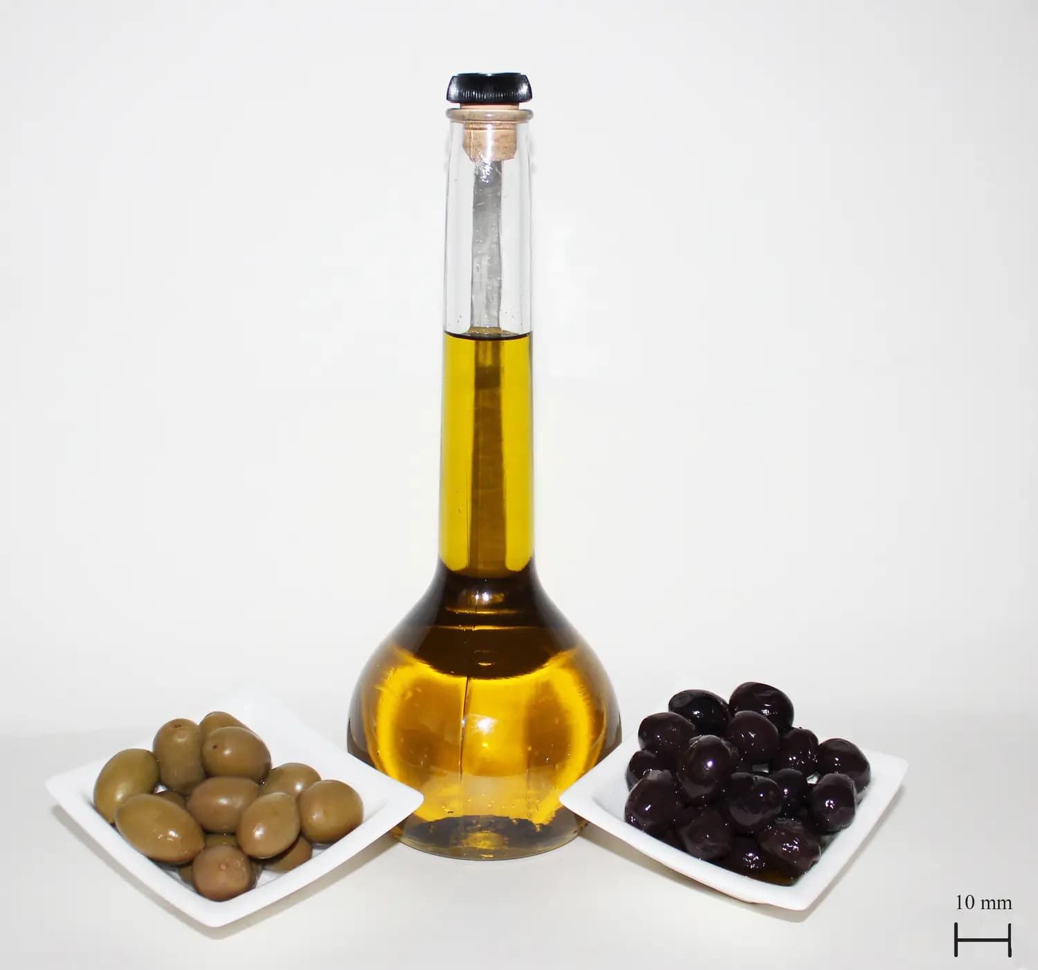 Olive Oil Farm Tour